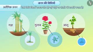 जनन;  तथा लैंगिक जनन और अलैंगिक जनन में अंतर|Part1/1|Basics of Reproduction|Hindi|Class10