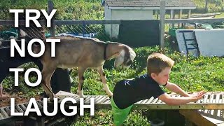 Best Fails Of The Week 😂 Try Not To Laugh