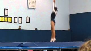 Level 6 trampoline routine