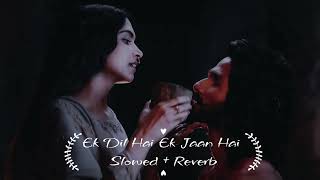 Ek Dil Hai Ek Jaan Hai Slowed + Reverb Song | ek dil ek jaan gana | padmavati songs