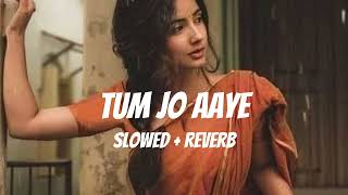 Tum Jo Aaye (Slowed + Reverb) Lofi | Rahat Fateh Ali Khan | Happy Music