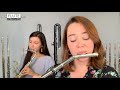 Healthy Flute Playing by Flute Specialists, Inc.