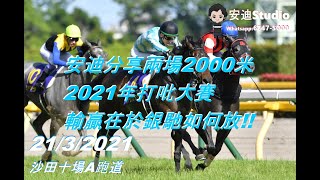 2021年3月21日,安迪分享兩場2000米賽事,打吡各駒勝敗在於銀馳如何放.