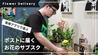 花のサブスクやってみた | ポストに届く【FLOWER】ガーベラ | 観葉植物