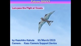 Falcon 30iVV3  : Lure pass like Powerful Flight at Oosato