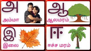 Uyir Eluthukkal|அஆஇ|Preschool Learning |Kindergarten Learning|Toddlers\u0026Nursery |Tamil words Learning