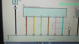 Throttle with Motor Body Assembly | SESSION 135 |