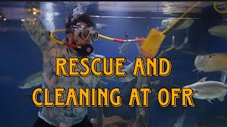 Rescue and Cleaning at OFR