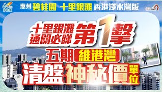 十里銀灘 | 通關必睇第1擊【五期維港灣 | 清盤神秘價單位】碧桂園十里銀灘【寰宇筍盤 | 上市公司附屬機構】 大灣區物業 投資大灣區 粵港澳大灣區