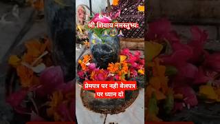 प्रेमपत्र पर नही बेलपत्र पर ध्यान दो #ytshorts #shivbhakt #mahakalstatus #mahadevbhakt#shivratri2025