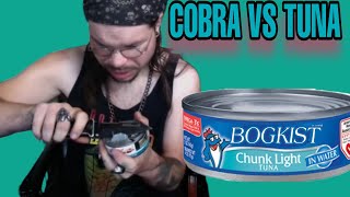 KingCobraJFS opens a can of tuna 🐍