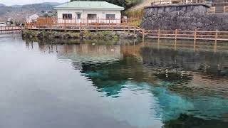 鹿児島県湧水町の丸亀池（ショート）