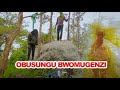 Obusungu Bwomugenzi [ugandan Movie] 1080p