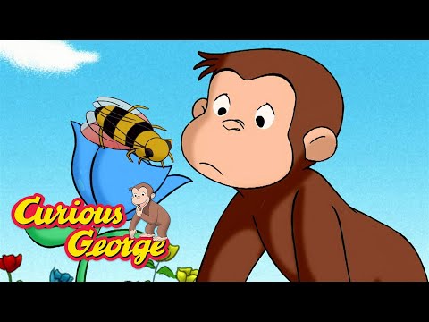 Where Does Honey Come From? Curious George Kids Cartoon Kids Movies