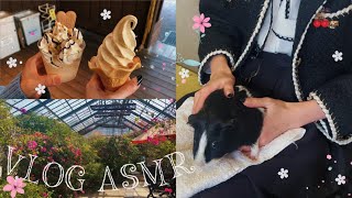 【ASMR】南房総で過ごす1日🌴🌺Vlog ASMR