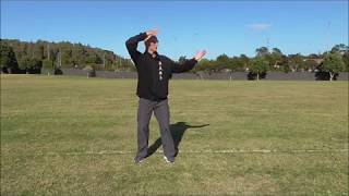 Ba Gua Zhang - Qigong Tutorial