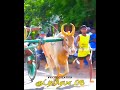 கண்டதேவியார் குட்டிபிரபா துணைசாரதி recklarace status⚡ horse jallikattu 1m bull reckla reels