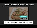 CSS3 Image hover Effect with Text Animation | CSS3 Animation Snippets