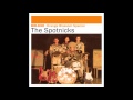 the spotnicks telstar