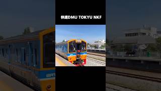 快速DMU SRT Tokyu NKF #shorts #rollingstock #鉄道