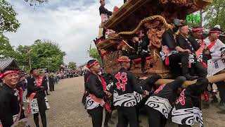 【令和五年】堺市 陶器地区🙌 #陶荒田神社 👍 #宮入 #だんじり #地車 #だんじり祭 #日本の祭り #祭  #堺市 #陶器 #上地車 ⛩️⛩️⛩️⛩️⛩️⛩️⛩️