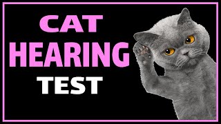 Cat Hearing Test | Test Your Cats Ears