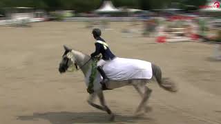 Obelix van 't Merelsnest °2014   Winner Germany Deister Championate Youth 6 YO