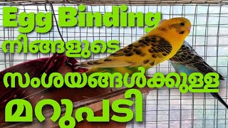 Egg Binding നിങ്ങളുടെ സംശയത്തിനുള്ള മറുപടി..||R\u0026B Media