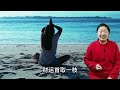 老來福的6生肖！30歲行大運！50歲洪福齊天！日子紅紅火火！順順利利！ 生肖 運勢 佛教