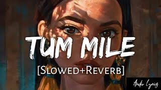 Tum Mile [Slowed+Reverb] - Javed Ali | Audio Lyrics