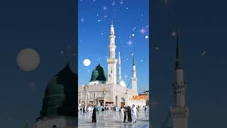 New Islamic status | Allah Janta Hai Muhammad Ka Martba Qawwali status | 2023 status☝😇💚 #shorts