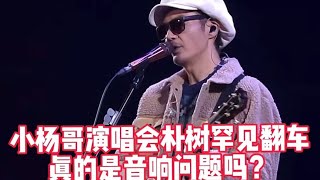 小杨哥演唱会明星聚集， 明星真的玩不过资本#疯狂小杨哥 #朴树