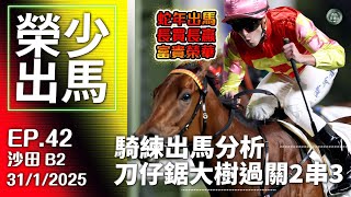 【賽馬貼士】榮少出馬 │刀仔鋸大樹 │ 精選2場過關2X3 │騎練推介 │《2025年1月31日》24-25賽季 EP42 #榮少 #沙田 #賽馬任我行