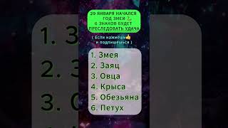 29 января, начался год змеи 6 знаков будет преследовать удача