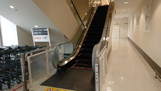 【エスカレーター】ニトリ 金沢駅西 店 自動  【Escalator】NITORI