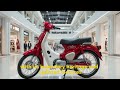 2025 honda super cub – timeless design meets modern innovation