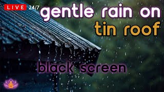 🔴 [LIVE 24/7] Gentle Rain on Tin Roof | Rain Ambience | Rain Sounds for Sleeping [Black Screen]