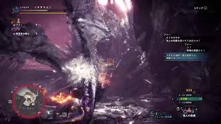 ブラボー素人によるMHW:I　HR999　歴戦危険度3ソロ周回　その11　声無し