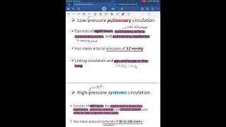 7  cardiovascular function l