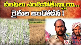 పంటలు ఎండిపోతున్నాయి...రైతుల ఆందోళన ! | Nagarkurnool | Qnews