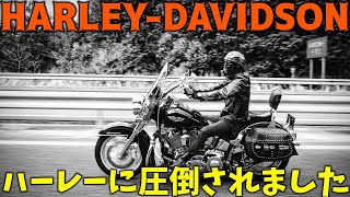 【ハーレーに圧倒されました】貴方もバイクに乗りたくなるかもしれない★☆憧れのハーレーダビッドソンと《FLFTN》#71【モトブログ】【フォトライダー】