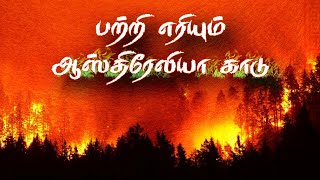 பற்றி எரியும் ஆஸ்திரேலியா காடு | Suryan Explains