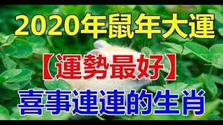 2020年鼠年大運！2020年【運勢最好】喜事連連的生肖