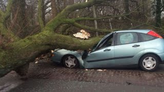 STUPID DRIVERS COMPILATION #189