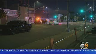 Suspected Drunk Driver Hits And Kills Bicyclist in West Adams