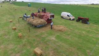 Thrashing at the donkey derby in ballacolla