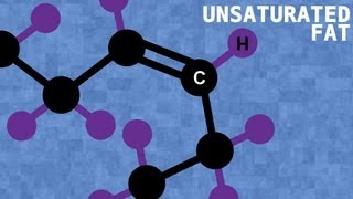 Saturated vs. Unsaturated Fats - Bite Sci-zed