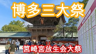 筥崎宮放生会大祭　博多三大祭　Hakozaki Shrine Hojoe