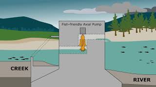Axial screw pump retrofit - a solution for fish passage