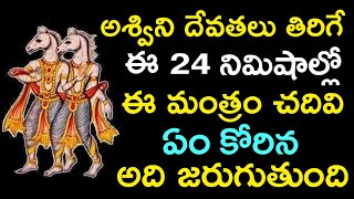 అశ్విని దేవతలు తిరిగే ఈ 24 నిమిషాల్లో ఈ మంత్రం చదివి ఏం కోరిన అది జరుగుతుంది || Ashwini devatalu